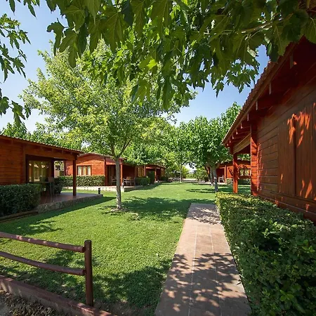 Campsite Els Ports